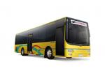 Wuzhoulong FDG6111 HEVG 2008 года